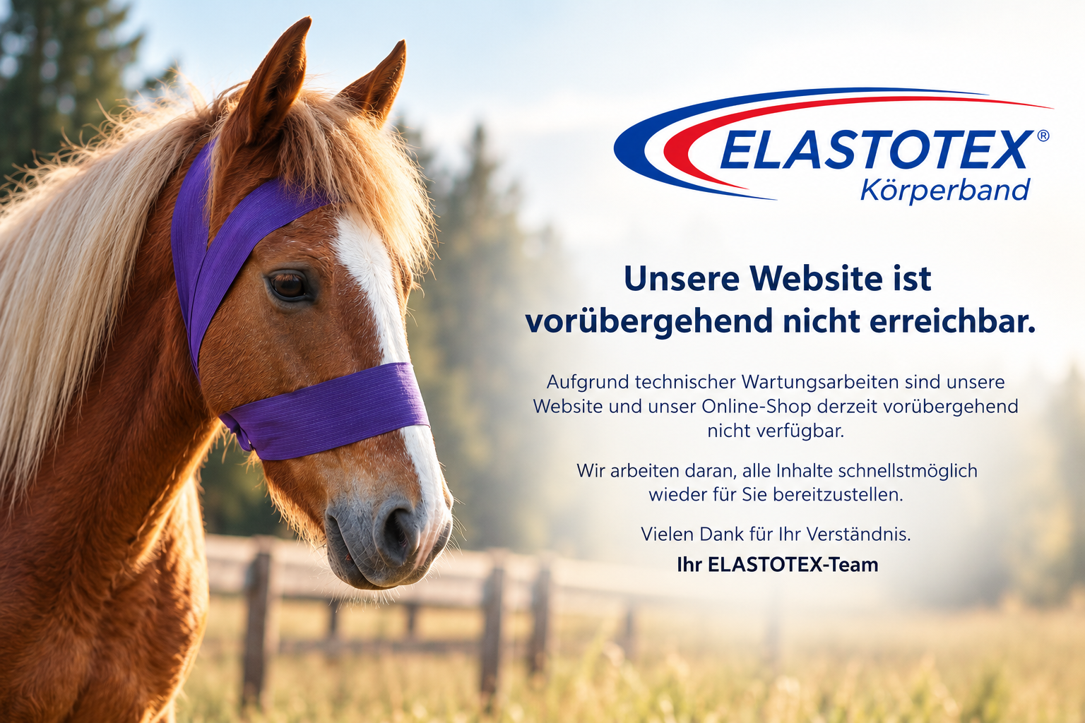 ELASTOTEX – Website und Online-Shop vorübergehend nicht erreichbar