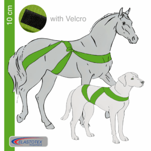 Applegreen mit einer Breite von 10 cm mit Klett