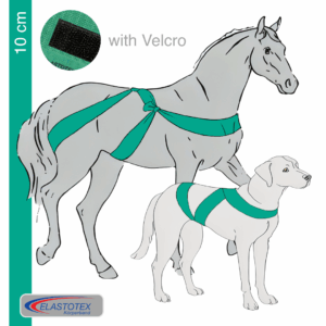 Lightgreen mit einer Breite von 10 cm mit Klett