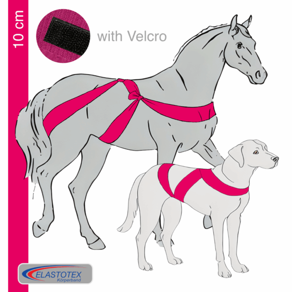 Deeppink 10 cm wide with Velcro fastener