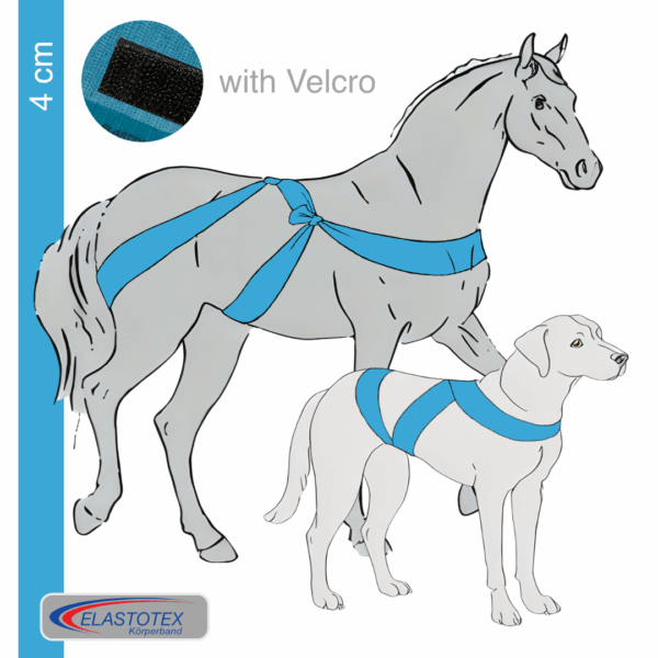 Lagoon 4 cm wide with Velcro fastener