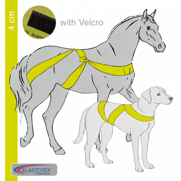 Lemon 4 cm wide with Velcro fastener