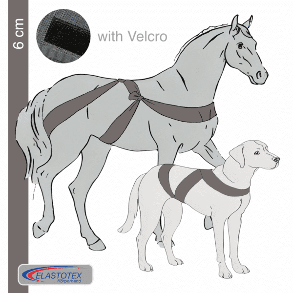Kitt 6 cm wide with Velcro fastener