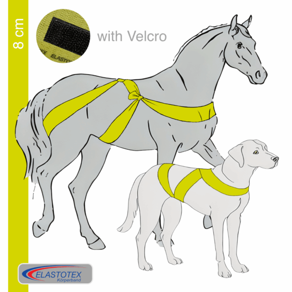 Lemon 8 cm wide with Velcro fastener