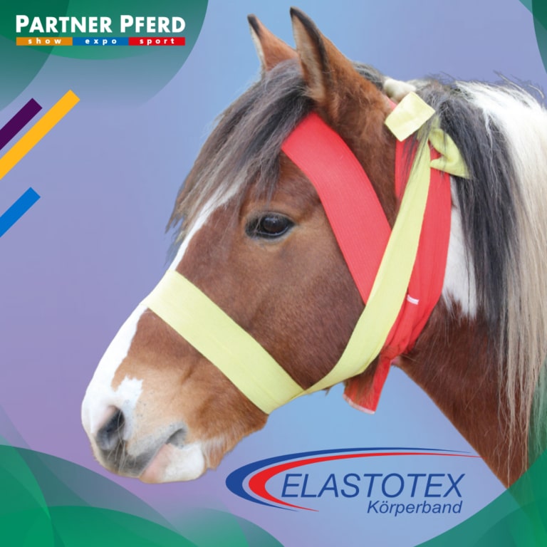 Elastotex News-Beitrag